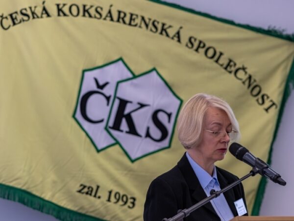 39. Mezinárodní koksárenská konference